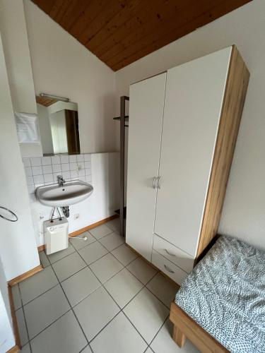 een badkamer met een wastafel, een douche en een spiegel bij Jonagold Unterkunft in Karlsruhe