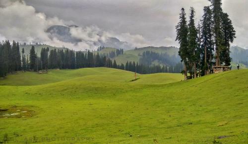 a green grassy hill with trees on the side of it at Kashmir Outlook Adventures in Pahalgām