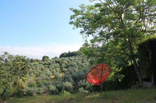 Qui Con Te – Photos 5