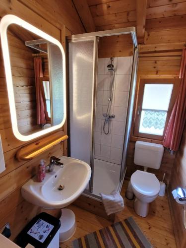 a bathroom with a shower and a sink and a toilet at Blockhäuser Stamsried in Stamsried