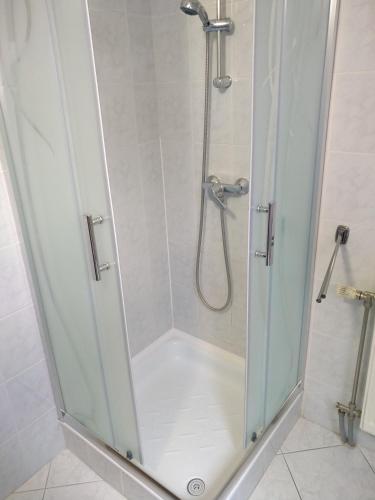 a shower with a glass door in a bathroom at Manor Villa in Hévíz