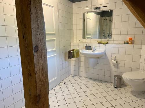 Koupelna v ubytování Ferienwohnung in herrschaftlicher Villa