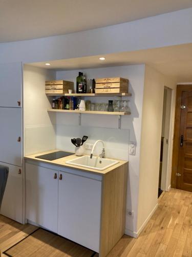 une cuisine avec un évier et un comptoir dans l'établissement 2 Pieces cosy, à Annecy