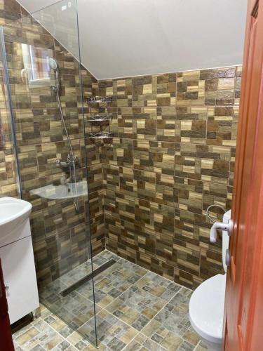 a bathroom with a shower with a toilet and a sink at Casa Grai Moroșănesc in Breb