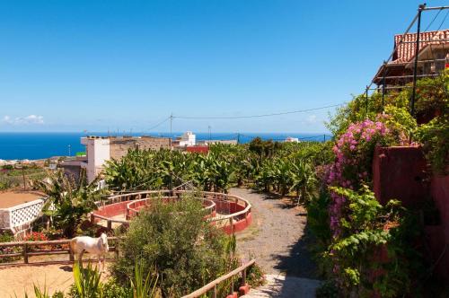 a garden with flowers and a horse on a hill at Traditional Arucas by VillaGranCanaria in Arucas