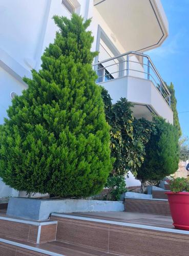 Gallery image of GB Rooms in Ksamil