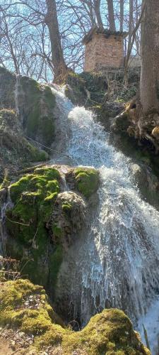 a stream of water with green moss on the rocks at Apartman Bane in Soko Banja
