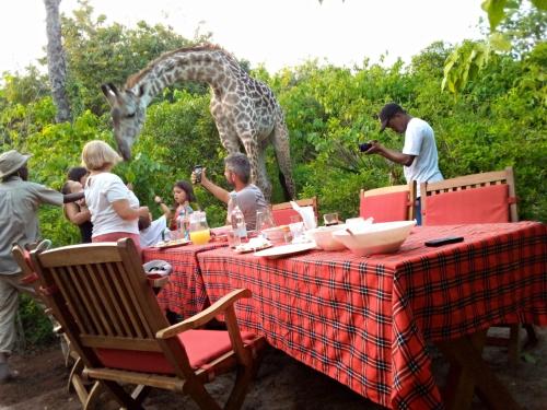 Bora Bora Luxury Tented Camp Diani Beachの宿泊客