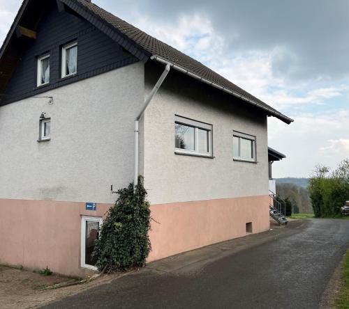 a house with a plant growing on the side of it at Hannis-Hof in Meinerzhagen