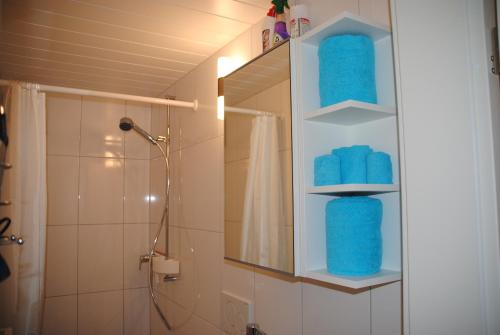Koupelna v ubytování Ferienwohnung Grütter