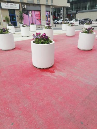Residenze Sorrentino photo 31