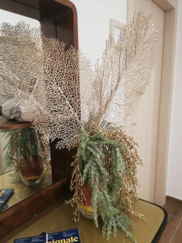 Residenze Sorrentino photo 44