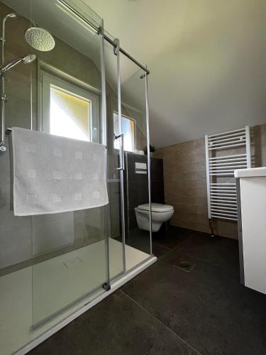 a bathroom with a glass shower and a toilet at Apartment Oddih in Bled