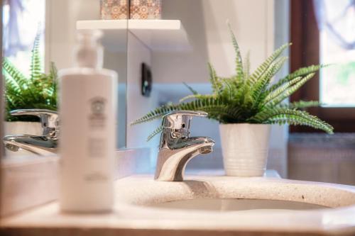 a bathroom sink with a bottle of soap and a plant at My Sweet Garden - by MyHomeInComo in Cassina Rizzardi