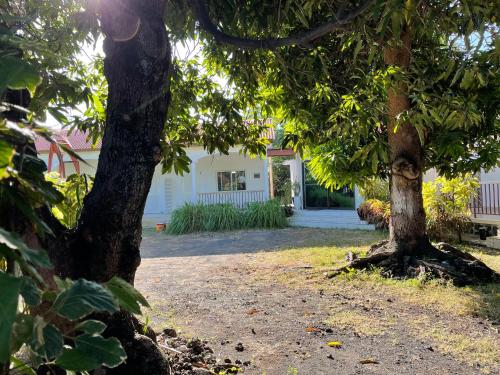 Un jardín fuera de Hôtel La Grillade
