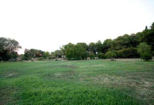 a large grass field with trees in the background at Le Pentume in Arnesano