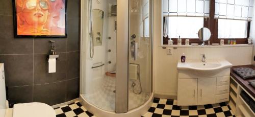a bathroom with a shower and a sink at Altstadthaus Neubert in Bodenwerder