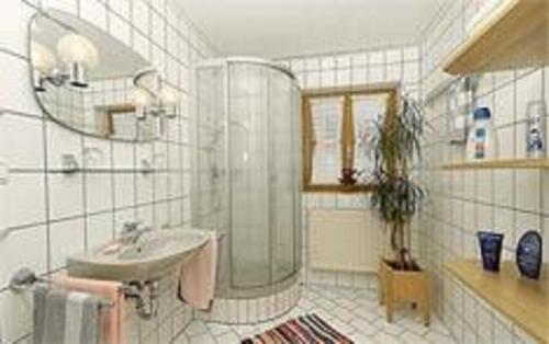 W łazience znajduje się umywalka i prysznic. w obiekcie Ferienwohnungen Lusenblick w mieście Freyung