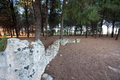 a rock wall in a park with a tree at Le Pentume in Arnesano