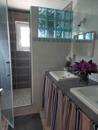 a bathroom with a sink and a shower at Chambres d'Hotes des Ecureuils in Lanton