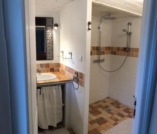 a bathroom with a sink and a shower at Chambre d'hôtes LOU PATACLET in Charols