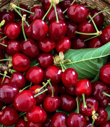 a bunch of cherries sitting in a basket at CASCINA DOMINA in Gassino Torinese
