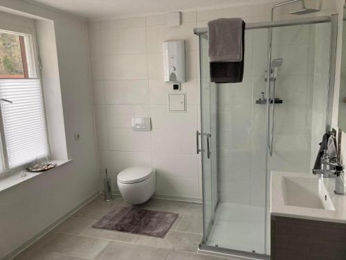Un baño con ducha, inodoro y lavabo. en Ferienhaus Rübeland, en Neuwerk