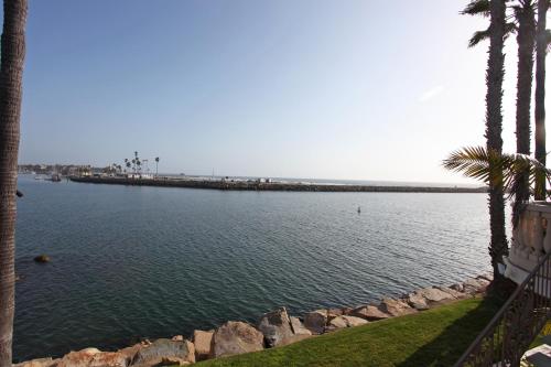 a large body of water with palm trees and a wall at Oceanside Marina Suites - A Waterfront Hotel in Oceanside