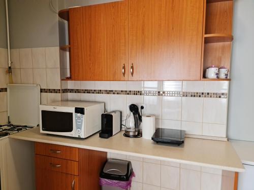 cocina con encimera y microondas en Hürrem Apartman en Eger