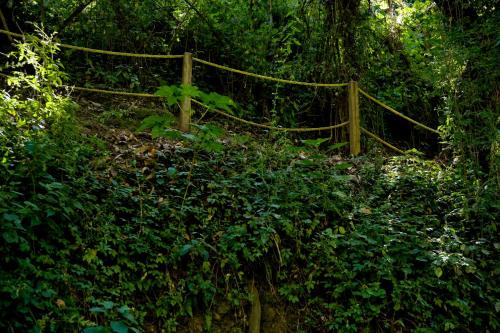 a wooden fence in the middle of a forest at Hotel Rancho San Cayetano in Zitácuaro