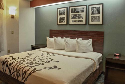 a hotel room with a large bed with photographs on the wall at Sleep Inn Lake Wright - Norfolk Airport in Norfolk