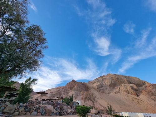 a view of the desert with a mountain in the background at The Bedouin Moon in Dahab