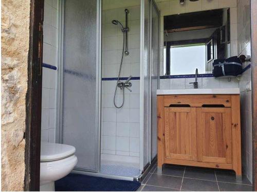 a bathroom with a shower and a toilet and a sink at Mas La Cassanya in Terrades