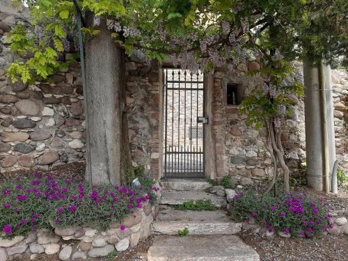 Panoramic Suite – Photos 5