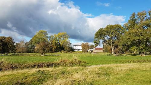 a field with a white house in the distance at Upper Buckton B&B in Leintwardine