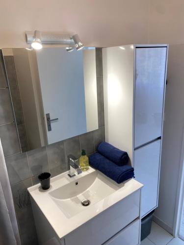 une salle de bain avec un lavabo blanc et un miroir dans l'établissement Studio cosy entièrement équipé, à Nice