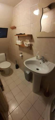 a bathroom with a sink and a toilet at IRU, not for parties, not a hotel, room with no kitchen in Amsterdam