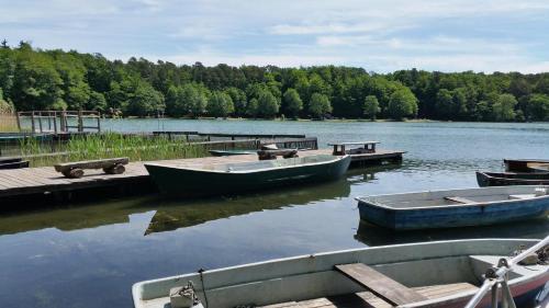 a group of boats docked at a dock on a lake at Tauchbasis Stechlin in Stechlin