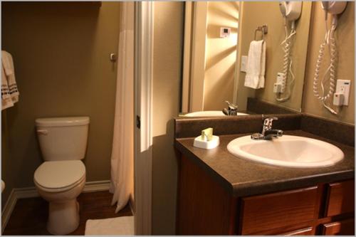 Bathroom sa Eagle's Den Three Rivers Texas a Travelodge by Wyndham