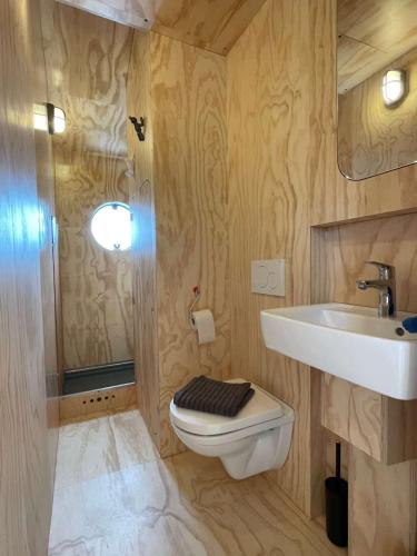 a bathroom with a toilet and a sink at Wikkelhuis 31- dier vriendelijk in Stavoren