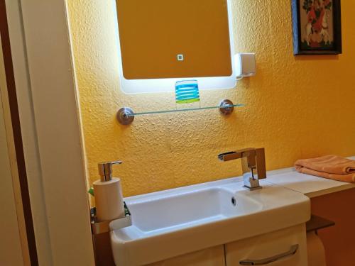 ein Bad mit einem Waschbecken und einem Wandspiegel in der Unterkunft Ferienwohnung in idyllischer Lage in Sauerthal