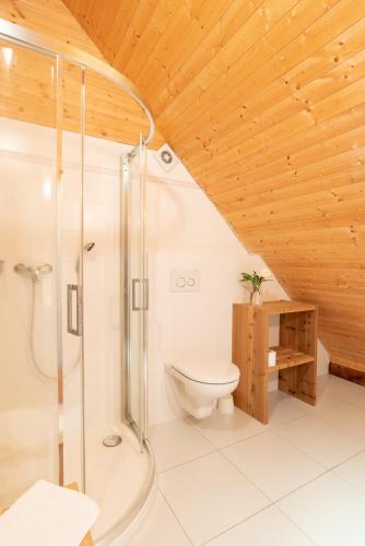 a bathroom with a shower and a toilet at Cedrový penzion in Dobříkov