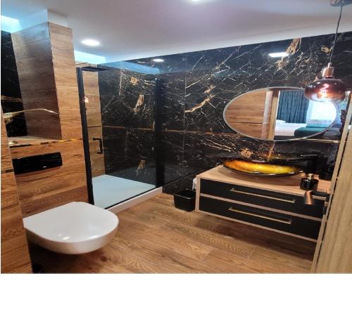 a bathroom with a shower and a toilet and a mirror at GOOD DAY APARTMENT centrum Katowice in Katowice