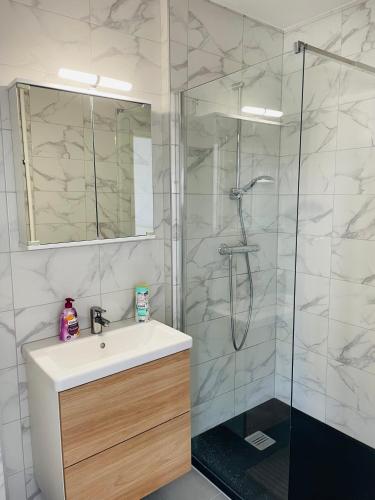a white bathroom with a sink and a shower at Superbe Studio, Hyper Center Tram3 by Basel& Airport, CH/DE/FR in Saint-Louis
