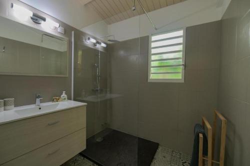 a bathroom with a sink and a shower and a mirror at Villa La Belle Creole in Saint-François