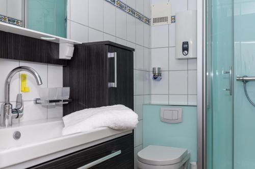 a bathroom with a sink and a toilet and a shower at Penthouse Schwalbennest in Damp