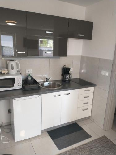 a kitchen with a sink and a microwave at Apartments Drevi in Ljubljana
