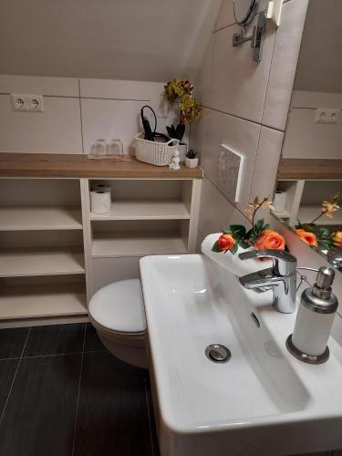 a bathroom with a sink and a toilet and shelves at Haus Franz in Millstatt