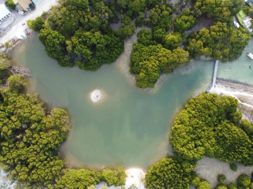 an aerial view of a body of water with trees at The Bilimbi Guesthouse & Inn in Huraa