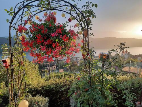 a garden with a bunch of red flowers at Haus Franz in Millstatt